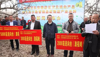【一份援疆情，萬(wàn)畝綠色園】 澳福姆迷向絲助力庫爾勒香梨產(chǎn)業(yè)升級