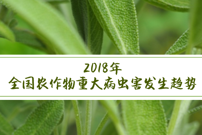 行業(yè)動(dòng)態(tài) | 2018年全國農作物重大病蟲(chóng)害發(fā)生趨勢
