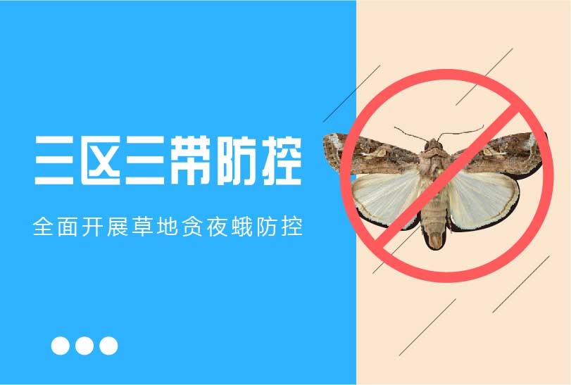 落實(shí)三區三帶防控任務(wù) 全面開(kāi)展草地貪夜蛾防控